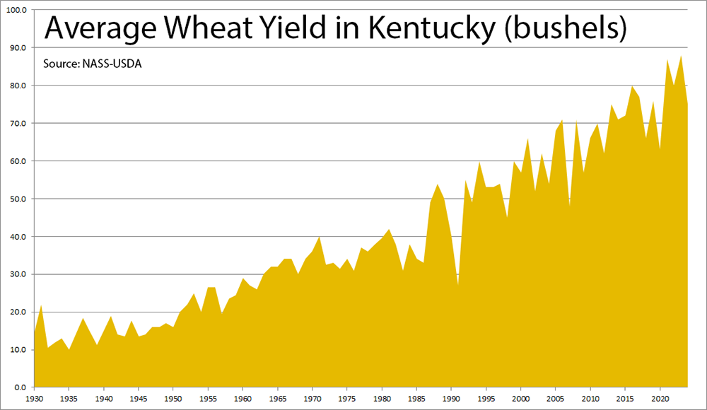 100 years of average wheat yields in Kentucky