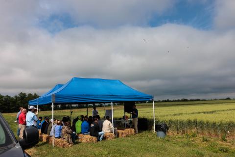 Wheat Field Day, UKREC