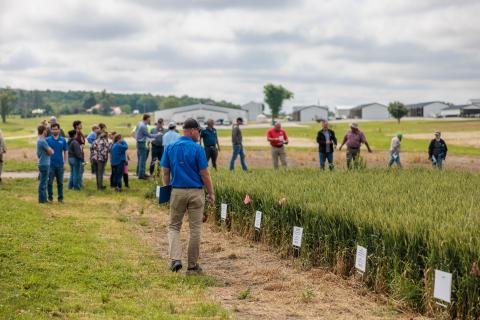 Wheat Field Day, UKREC