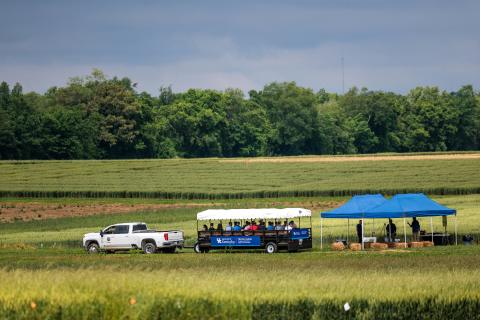 Wheat Field Day, UKREC Princeton, KY