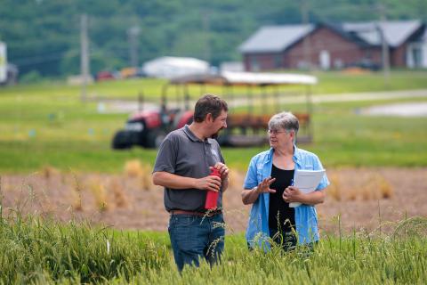 Wheat Field Day, UKREC Princeton, KY