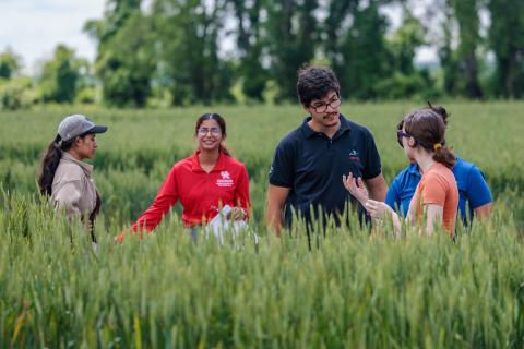 Wheat Field Day, UKREC