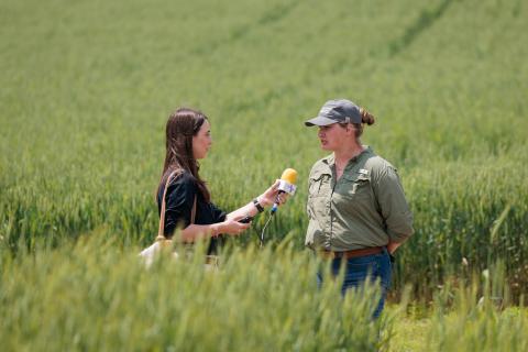 Wheat Field Day, UKREC